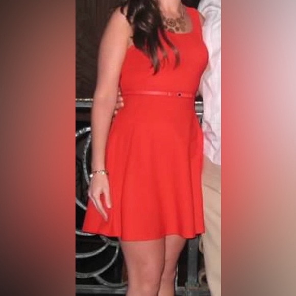 Express Dress - Picture 3 of 3